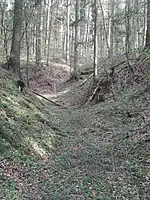 Bild 2: Westlicher Teil des Halsgrabens, links Anstieg zum Vorburggelände