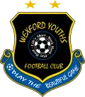 Wexford Youths