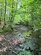 Unterlauf des Wiebachs