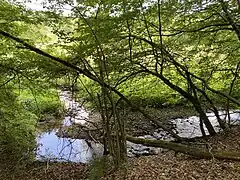Wiebachtal Mittellauf