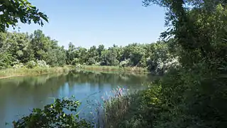 Butterteich