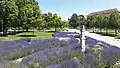 Der Westteil des Parks