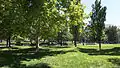 Im Park