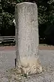 Kopie in Wiesbaden (Hessen)