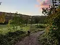 Blick ins Tal des Wellritzbachs vom Kirschenpfad
