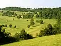 Landschaftsbild im Bliesgau bei Böckweiler