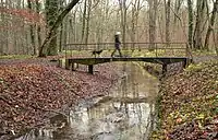 Wietzegraben mit Fußgängerbrücke im Misburger Wald