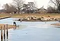 Wietzepark