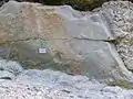 Blick auf die Schichtunterseite einer Feinsandsteinlage