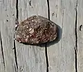 Vererzter Nummulitenkalk aus der Klamm