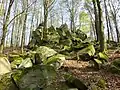 Wildfrauhaus hangaufwärts von Norden (2020)