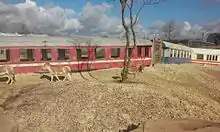 Onager beim entgleisten Zug
