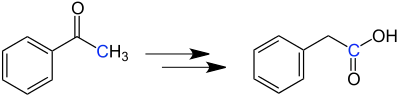 Reaktionsschema Willgerodt-Reaktion
