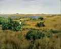 William Merritt Chase:Summer at Shinnecock Hills1891