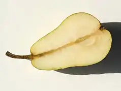 Birnenhälfte der Sorte 'Williams Christ'