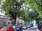 Am Volkspark