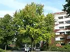 Kufsteiner Straße