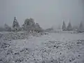 Neuer Hagen im Winter bei Nebel