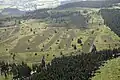 Westlicher Teil der Niedersfelder Hochheide aus der Luft