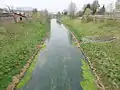 Die Wipper in Sondershausen