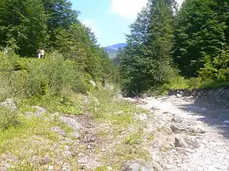 Felsweißach in der Wolfsschlucht