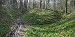 Das Quellgebiet der Baches