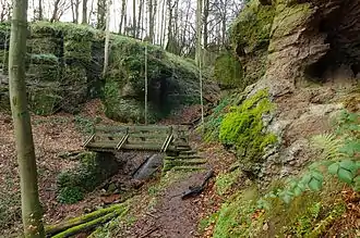Fußweg durch das Naturdenkmal Wolfsschlucht