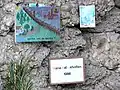 Votivtafeln des 20.&nbsp;Jahrhunderts in Wolketsweiler: links die Darstellung einer Flucht über die innerdeutsche Grenze