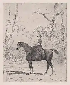 Amazone zu Pferd