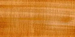Holz der Sommerlinde