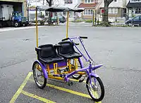 Tandem Trike Serie Team Dual von Worksman Cycles