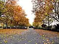 Der Parkplatz der Lehrer des Rudi-Stephan-Gymnasiums und des Bildungszentrums