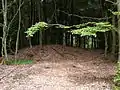 Wp 10/34,Schutthügel des Holzturms(Zustand Juli 2009)