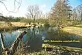 Die Schwentine im Bereich zwischen Preetz und dem Rosensee bei Raisdorf
