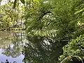 Gestaute Wupper im Nordteil des NSG