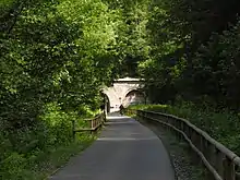 Ein von dichten Laubbäumen und krautigem Bewuchs umgebener asphaltierter Weg führt auf ein gemauertes Tunnelportal mit zwei Öffnungen zu. Die linke Tunnelröhre ist offen und dunkel, die rechte bis auf kleine Öffnungen verschlossen. Eine Person auf einem Fahrrad fährt auf das linke Portal zu.