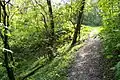 Der Eulenkopfweg