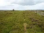 Yardstone Knowe
