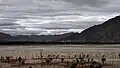 Yarlung Tsangpo