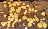 Gelbe Vanadinit-Kristalle auf Goethit aus Taouz, Marokko (Bildbreite ca. 40 mm)