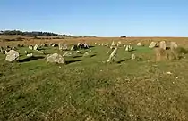 Yellowmead Down