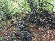 Reste der Burg Kleinstejn (Kleinstein) nördlich des Berges Havran