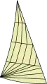 Biradialschnitt