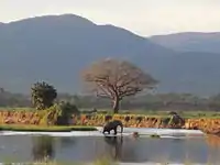 Mana-Pools-Nationalpark, Safarigebiete Sapi und Chewore