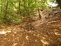 Vom Wald überwuchert.