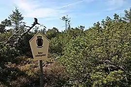 Naturschutzgebiet Georgenfelder Hochmoor