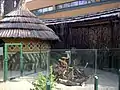 Afrikanisches Dorf, Fuchsmanguste