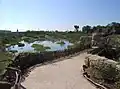Blick auf „Afrika“ (Feuchtsavanne, Grassavanne (rechts))