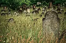 * Jüdischer Friedhof