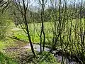 Buscherhofbach – linker Zufluss zum Lüttringhauser Bach